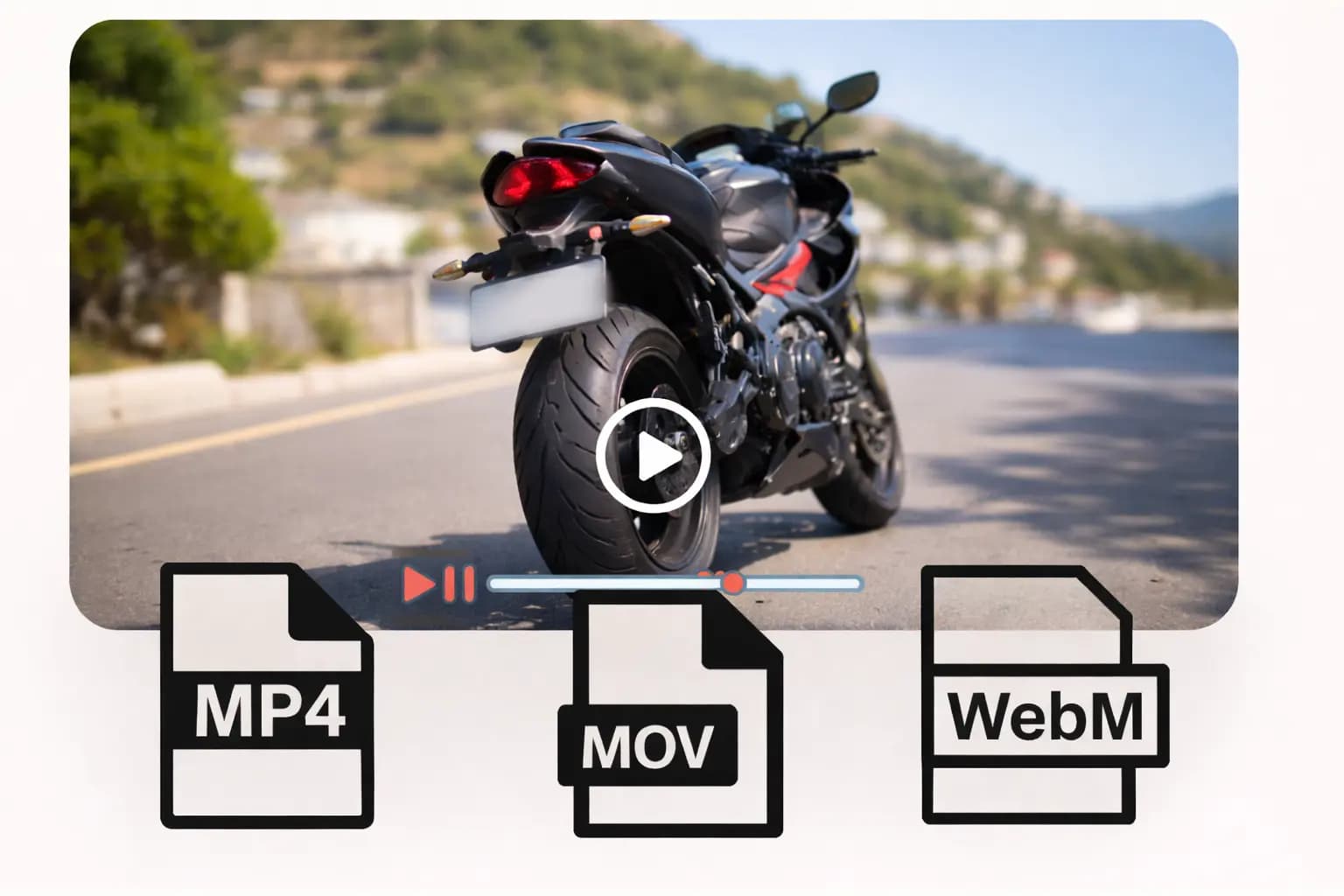 Supports Popular Video and Image Formats