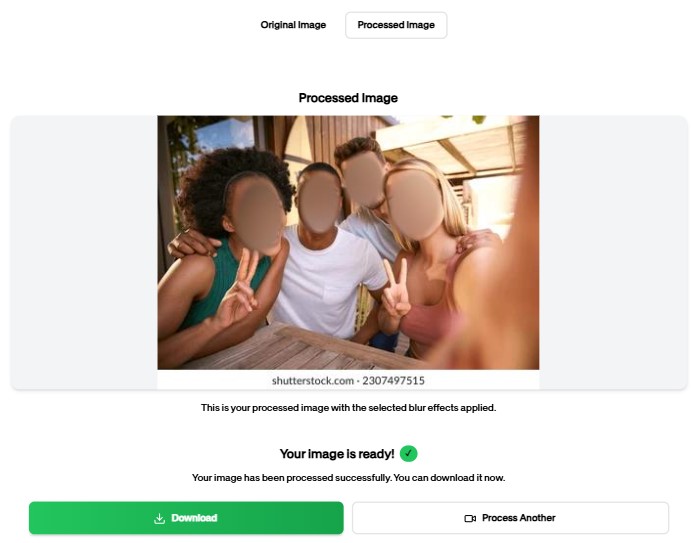 Download Privacy-Protected Photo